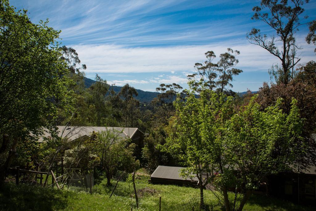 Bed and Breakfast Buttercup Hill à Warburton Extérieur photo